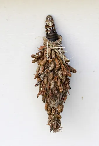Evergreen Bagworm Moth - photo 5