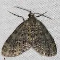 Olive-and-black Carpet - Hodges#7635 - photo 5