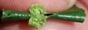 Willow Bead Gall Mite - photo 3