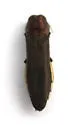 Bayberry Agrilus - photo 5