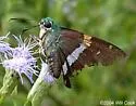 Emerald Aguna - Hodges#3877
