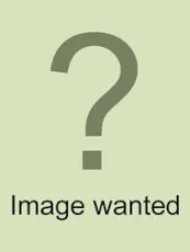 Agyneta conigera