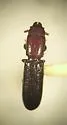 Airora aequalis