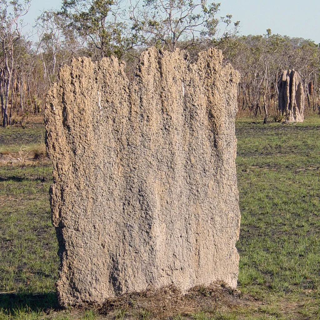 Magnetic Termite - photo 2