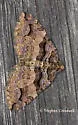 Variable Carpet - Hodges#7329