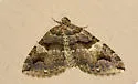 Variable Carpet - Hodges#7329 - photo 2