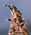 Aradus antennalis - photo 5