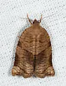 Rose Tortrix Moth - Hodges#3650 - photo 3