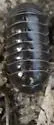 Common Pillbug - photo 4