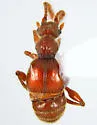 Batriasymmodes armiger