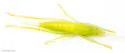 Palmetto Conehead - photo 3