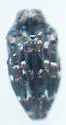 Brachys ovatus - photo 4