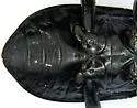 Calosoma peregrinator - photo 5