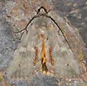 Woody Underwing - Hodges#8864 - photo 3