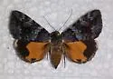 Jair Underwing - Hodges#8879 - photo 3