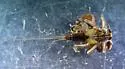 Caudatella heterocaudata