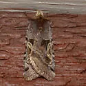 Enigmatic Dart - Hodges#10995.2 - photo 3