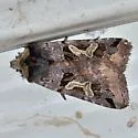 Enigmatic Dart - Hodges#10995.2 - photo 4