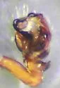 Ceraticelus laticeps - photo 4