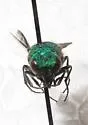 Chrysurissa densa - photo 5