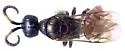 Cleptes rufigaster