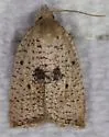 Coelostathma placidana - Hodges#3747.1 - photo 4
