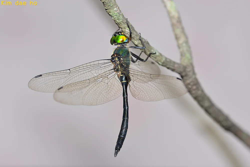 Emeralds - photo 3