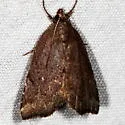 Cypress Looper - Hodges#8728 - photo 5