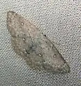 Sweetfern Geometer - Hodges#7139