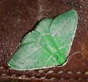 Phoenix Emerald - Hodges#7057