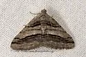 Curve-lined Angle - Hodges#6362 - photo 5