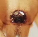 Drassyllus mumai - photo 3