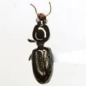 Dyschirius larochellei - photo 4