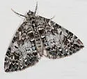 Orange-Spotted Carpet - Hodges#7188 - photo 3