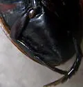 Harris's Diving Beetle - photo 4