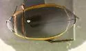 Harris's Diving Beetle - photo 5