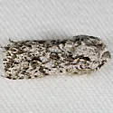 Mottled Oak Woodling - Hodges#10510