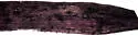 Elachista brachyelytrifoliella - Hodges#1132