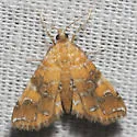 Nebulous Munroessa - Hodges#4750 - photo 2
