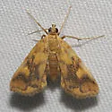 Nebulous Munroessa - Hodges#4750 - photo 3