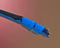 Hagen's Bluet