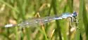 Arroyo Bluet - photo 2