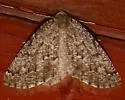 Variable Girdle - Hodges#7005
