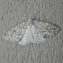 Variable Girdle - Hodges#7005 - photo 3