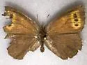 Taiga Alpine - Hodges#4593.1 - photo 2