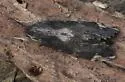 Lassaux's Sphinx - Hodges#7833 - photo 3