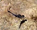 Plateau Dragonlet - photo 2