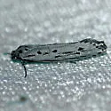 Gray Ethmia - Hodges#0987 - photo 2