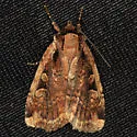 Sigmoid Dart - Hodges#11007