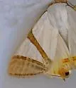 Eulepidotis persimilis - Hodges#8570.4 - photo 2